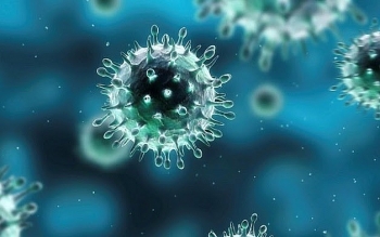Cúm A lây nhiễm như thế nào và những đối tượng nào dễ mắc phải?