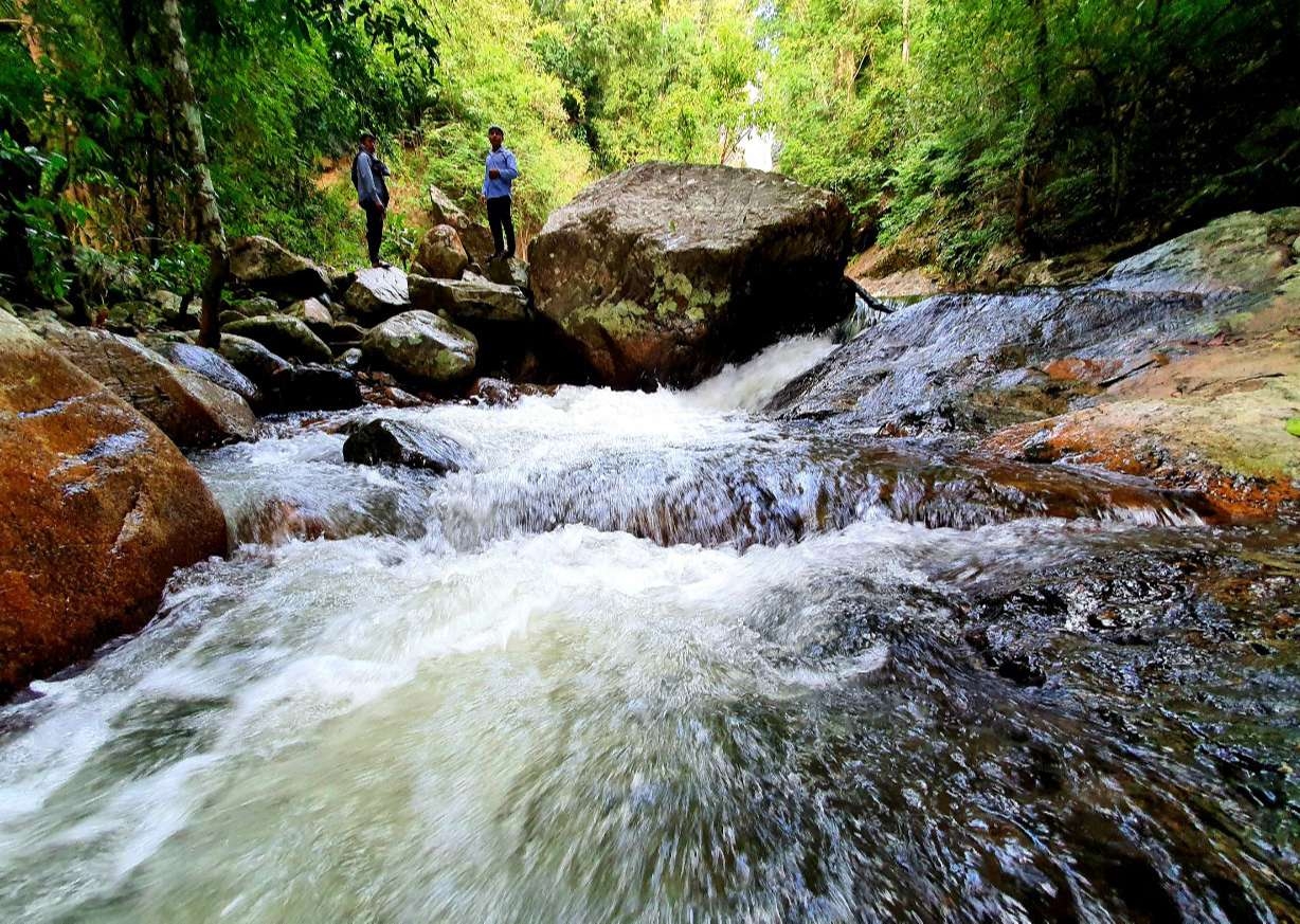 Côi Trô - “Nàng công chúa ngủ quên” Côi Trô - “Nàng công chúa ngủ quên”