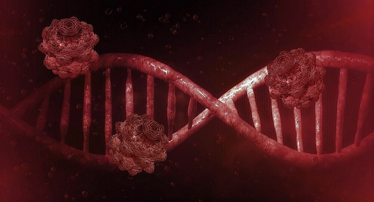 Nga giải mã hoàn toàn bộ gen của coronavirus nga giai ma hoan toan bo gen cua coronavirus