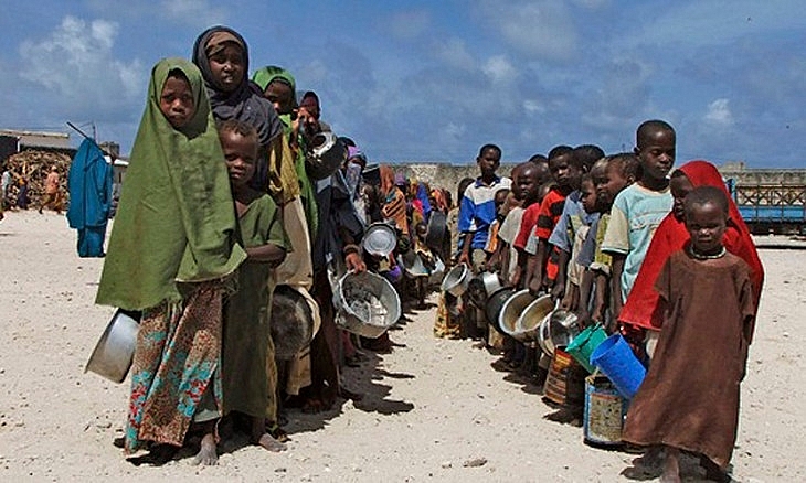 Chính sách năng lượng của EU có thể làm trầm trọng thêm nạn đói ở châu Phi
