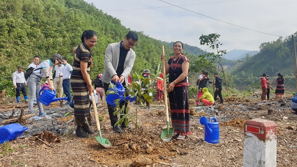 Hiện thực hóa chương trình trồng 1 tỷ cây xanh cho Việt Nam