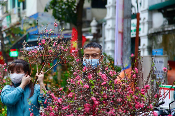 Hà Nội: Tổ chức 78 điểm chợ hoa Xuân phục vụ Tết Nhâm Dần 2022
