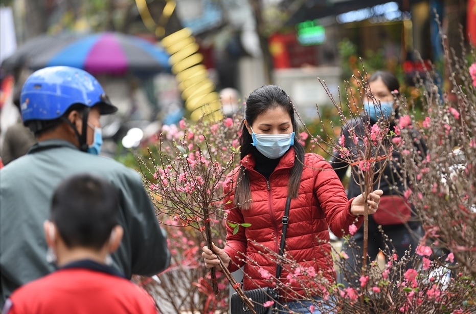 Hà Nội: Phân luồng giao thông tổ chức chợ hoa Xuân, lập 44 chốt chống ùn tắc dịp Tết