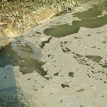4065 lang nghe duoc khao sat o nhiem moi truong nuoc nghiem trong