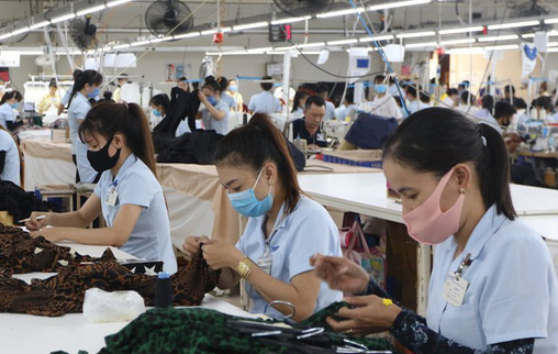 Người lao động chưa quan tâm tới lợi ích lâu dài Người lao động chưa quan tâm tới lợi ích lâu dài