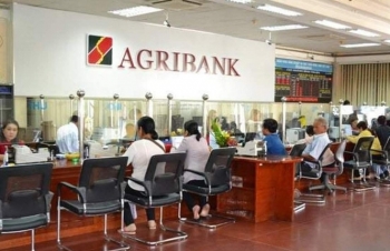 uy ban kinh te tan thanh vo i su can thiet tang von dieu le cho agribank