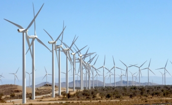 Mỹ: Nhà đầu tư rót tiền vào các quỹ năng lượng xanh