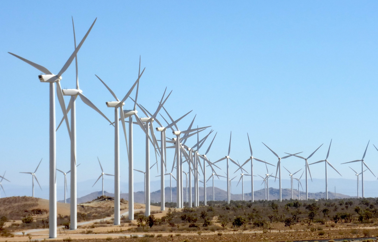 Mỹ: Nhà đầu tư rót tiền vào các quỹ năng lượng xanh
