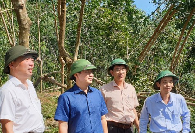 Huyện miền núi ở Thừa Thiên Huế có nguy cơ sạt lở - 9 Huyện miền núi ở Thừa Thiên Huế có nguy cơ sạt lở - 9
