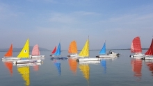 hap dan voi giai dua thuyen buom vung tau marina 2019