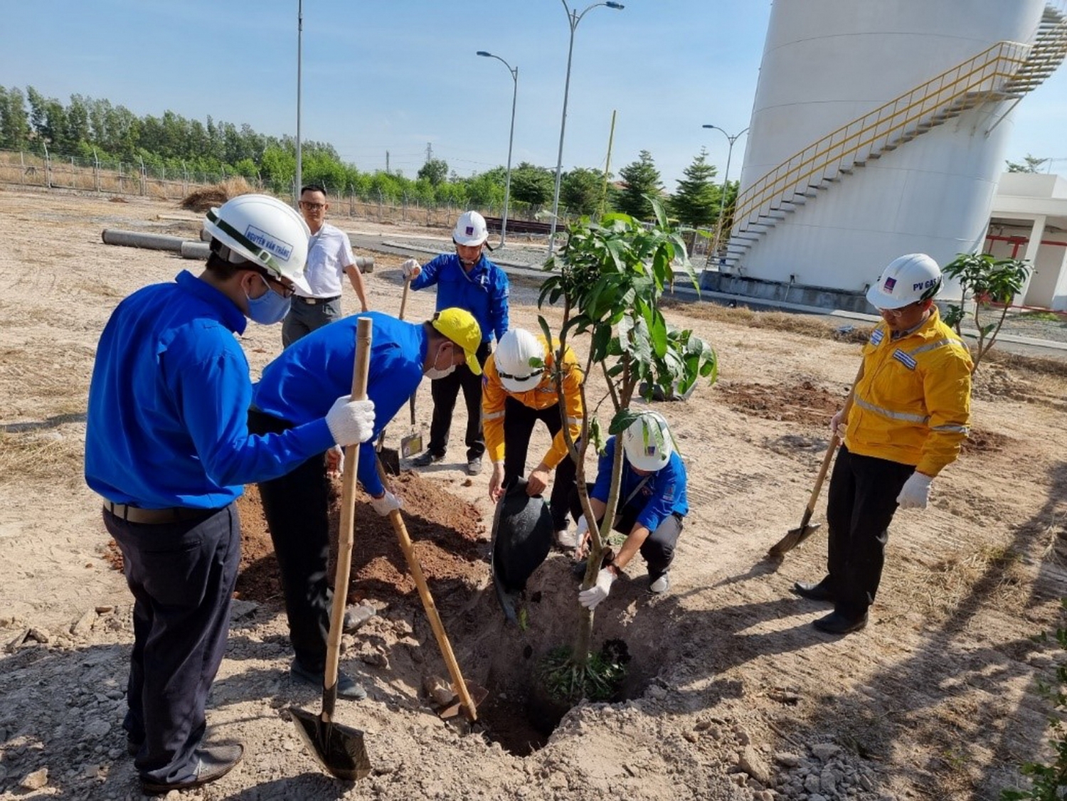 PVGAS D trồng cây xanh tại Nhơn Trạch - Đồng Nai