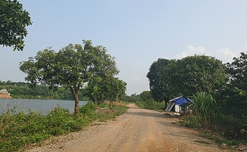 loat du an ma kieu alibaba