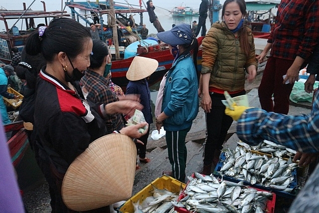 Vươn khơi ngày Rằm tháng Giêng, ngư dân trúng lộc biển vuon khoi ngay ram thang gieng ngu dan trung loc bien