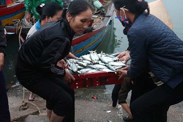 Vươn khơi ngày Rằm tháng Giêng, ngư dân trúng lộc biển vuon khoi ngay ram thang gieng ngu dan trung loc bien