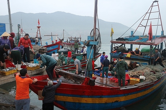 Vươn khơi ngày Rằm tháng Giêng, ngư dân trúng lộc biển vuon khoi ngay ram thang gieng ngu dan trung loc bien
