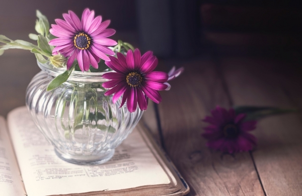 Tử vi ngày 7/7/2021 của 12 cung hoàng đạo: Cự Giải dễ tổn thương - Vimarsana News