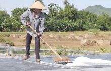 mien bac nang nong den het chu nhat