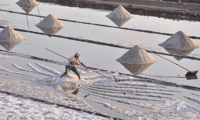 Ngắm cánh đồng muối Bạc Liêu Những khoảnh khắc ấn tượng trên cánh đồng muối Bạc Liêu