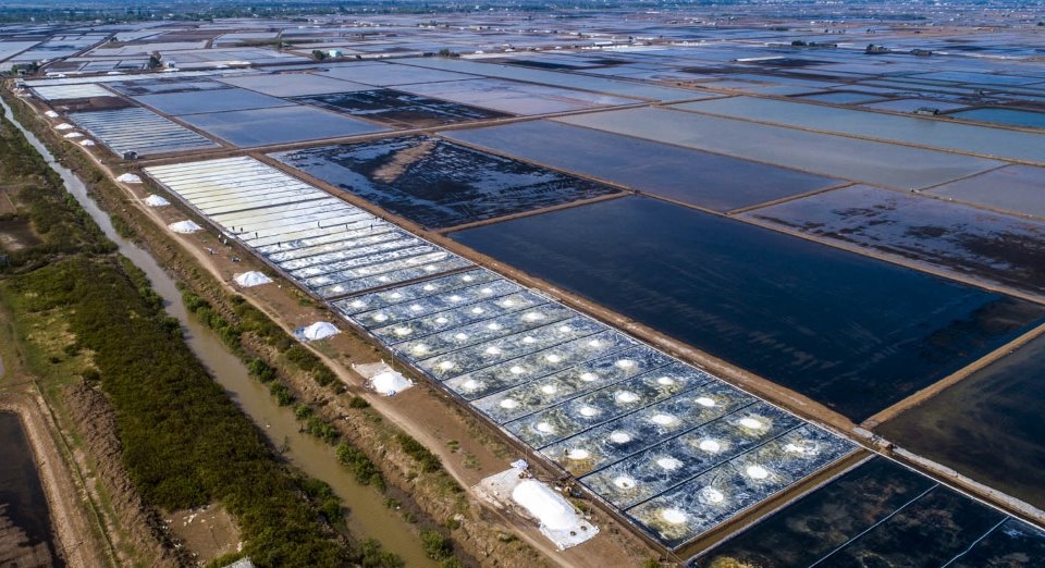 Ngắm cánh đồng muối Bạc Liêu Những khoảnh khắc ấn tượng trên cánh đồng muối Bạc Liêu