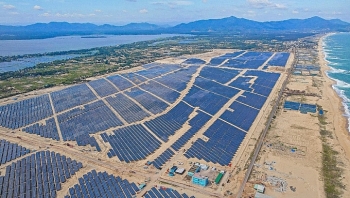 3 nhà máy điện mặt trời ở Bình Định bị xử phạt vì lý do gì?