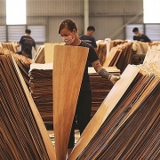 Tin tức kinh tế ngày 1/9: Mỹ gia hạn điều tra với sản phẩm gỗ dán cứng từ Việt Nam