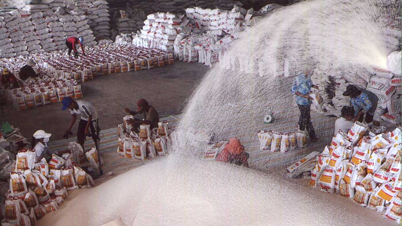 vi sao xuat khau gao tro nen am dam