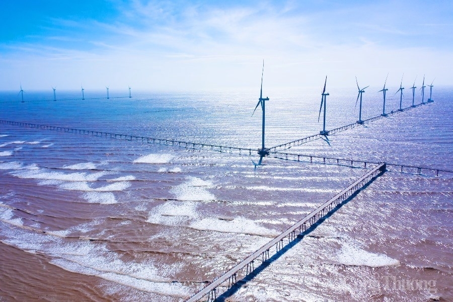 IEEFA: Năng lượng tái tạo trở thành yếu tố quyết định tương lai kinh tế Việt Nam
