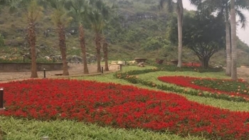 lang son dien mao moi cua di tich thanh nha mac