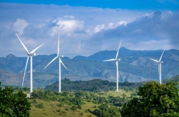 Chuyển đổi rừng tự nhiên làm điện gió: Không nên vội vàng...