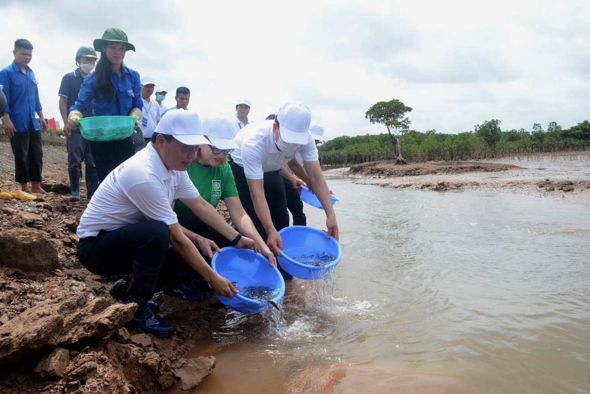 “Chỉ một Trái đất “Chỉ một Trái đất