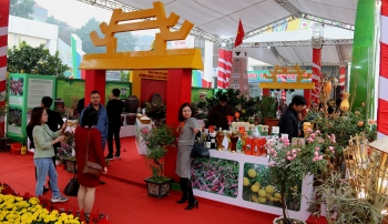hon 300 gian hang tham gia festival san pham nong nghiep va lang nghe ha noi