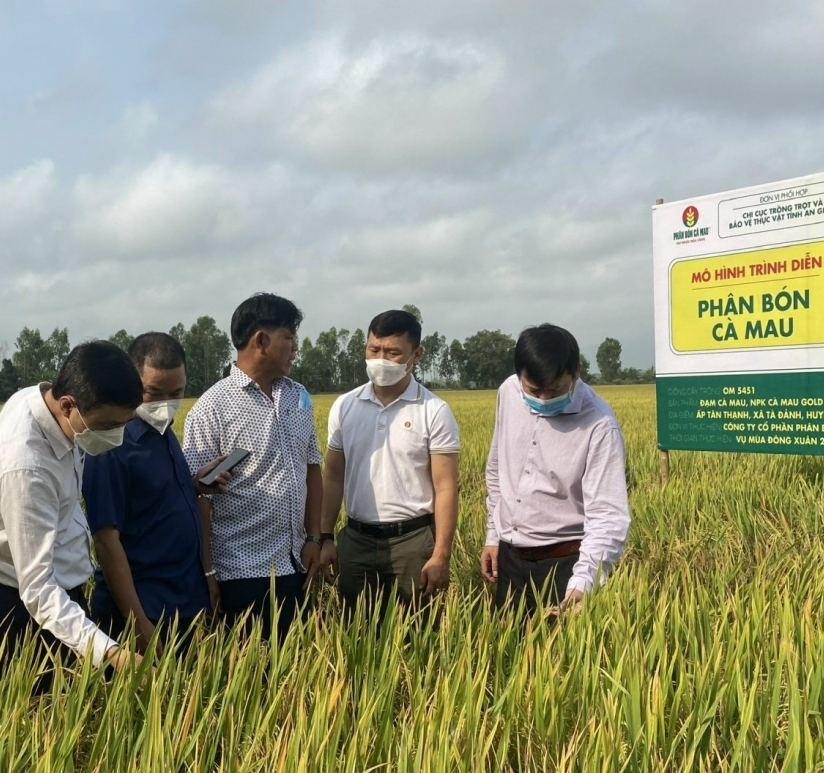 NPK Cà Mau: Nỗ lực đồng hành cùng nông dân Việt Nam