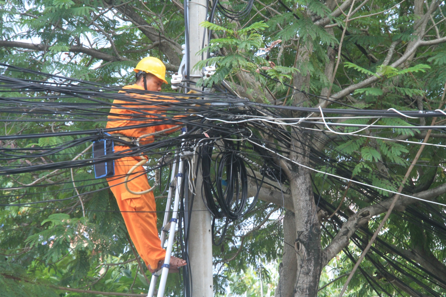 pc da nang kien quyet xoa diem den cap thong tin