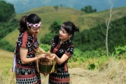 gao thieng cho re quy cua nguoi pa ko