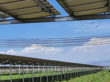 Nhiều địa phương 'tuýt còi' trang trại làm điện mặt trời mái nhà