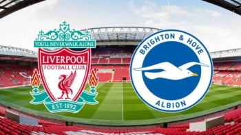 Link xem trực tiếp Liverpool vs Brighton (Ngoại hạng Anh), 21h ngày 1/10