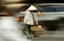 chuyen gia viet nam co le la mot trong nhung thien duong thue
