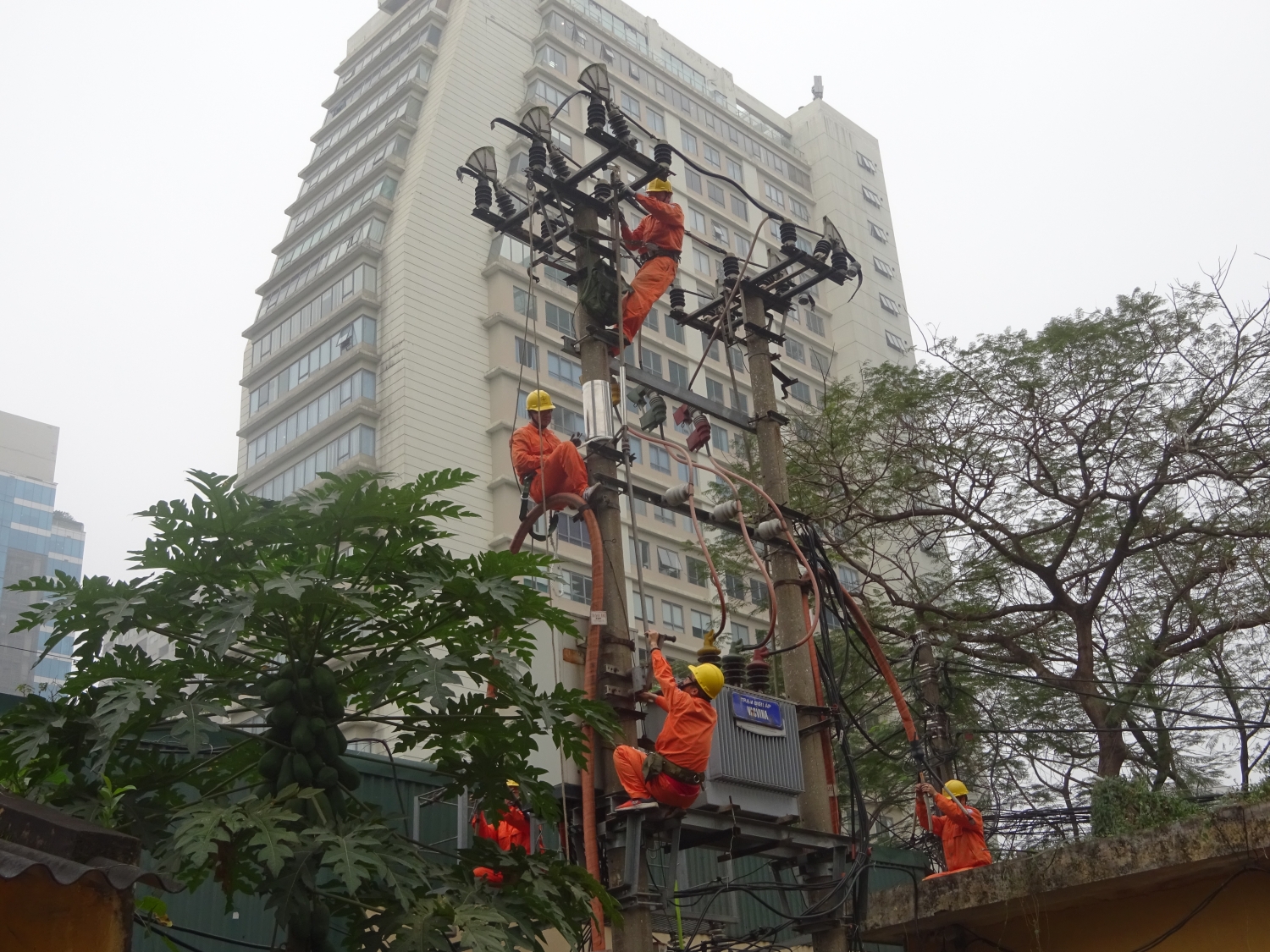 Rộn ràng những công trình ngay những ngày đầu xuân 2019 ron rang nhung cong trinh ngay nhung ngay dau xuan 2019