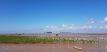 thai binh dung cho thue dat bai trieu