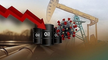 Giá xăng dầu hôm nay 23/4 sụt giảm mạnh