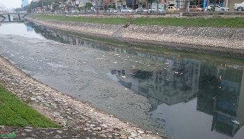 Làm sạch sông Tô Lịch bằng nước sông Hồng