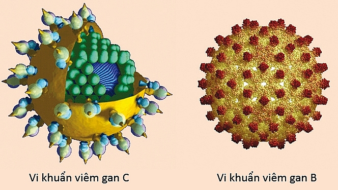 nen dua thuoc moi chua viem gan c vao danh muc bhyt