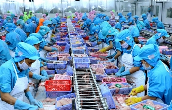tin kinh te 199 doanh nghiep viet chi thu tien le o chuoi gia tri toan cau