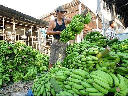 Muốn “đứng vững” ở thị trường Trung Quốc, doanh nghiệp nông sản phải thay đổi cách làm muon dung vung o thi truong trung quoc doanh nghiep nong san phai thay doi cach lam