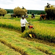 viet nam moi thien ve giam sat ma chua chu trong ve danh gia trong kinh te nong nghiep