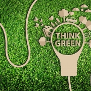 Bản tin năng lượng xanh: không có tăng trưởng đột phá