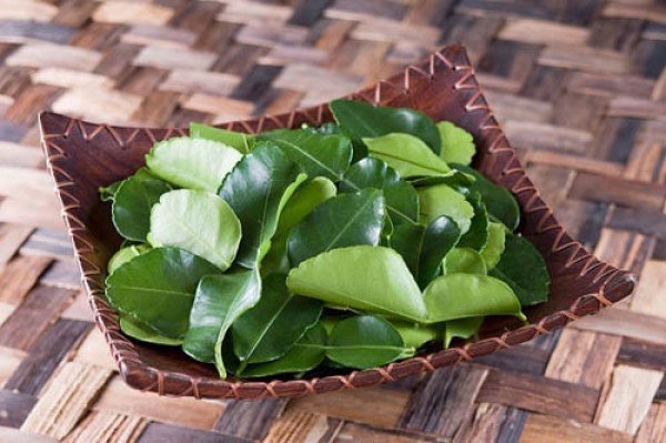 triet long vinh vien bang la cay